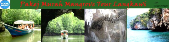 Pakej Murah Mangrove Tour Langkawi
